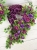 eZy Watermark_18-06-2026_12-40-35-9560PM.jpeg