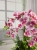 1FB8DBF1-318B-4123-ABB4-EF37FAC576E0.jpeg